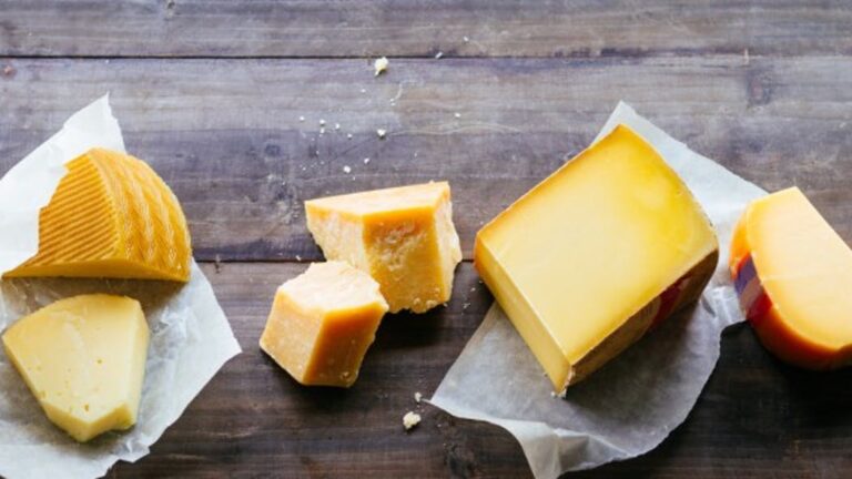 Quels sont les fromages qui ne contiennent pas de lactose ?