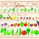 Quels sont les fruits de saison au mois de septembre ?