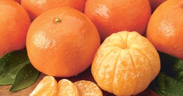 Quels sont les fruits qui peuvent provoquer un avortement ? Quels sont les fruits qui peuvent provoquer un avortement ?