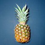 Quels sont les fruits qui peuvent provoquer une fausse couche ?