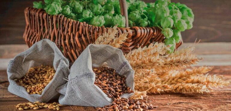 Quels sont les ingrédients nécessaires à la fabrication du Roquefort ?