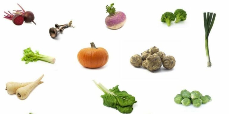 Quels sont les légumes de la saison d’hiver ? Quels sont les légumes de la saison d'hiver ?