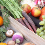 Quels sont les légumes de l'été ?