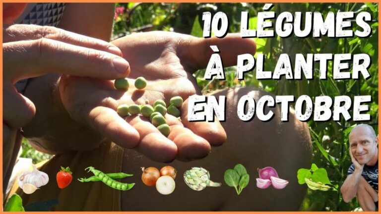 Quels sont les légumes qu'on peut congeler ?