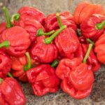 Quels sont les méfaits du piment ?
