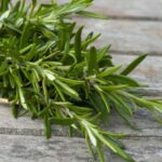 Quels sont les méfaits du romarin ?