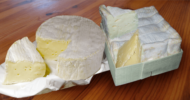 Quels sont les meilleurs camembert ? Quels sont les meilleurs camembert ?