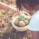 Quels sont les meilleurs œufs de poisson ?