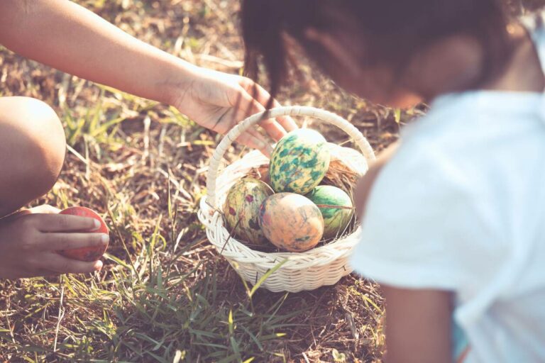 Quels sont les meilleurs œufs de poisson ? Quels sont les meilleurs œufs de poisson ?