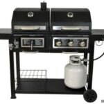 Quels sont les meilleurs plats surgelés ?