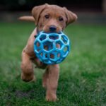 Quels sont les noms de pizza ?