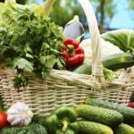 Quels sont les plats de saison ?