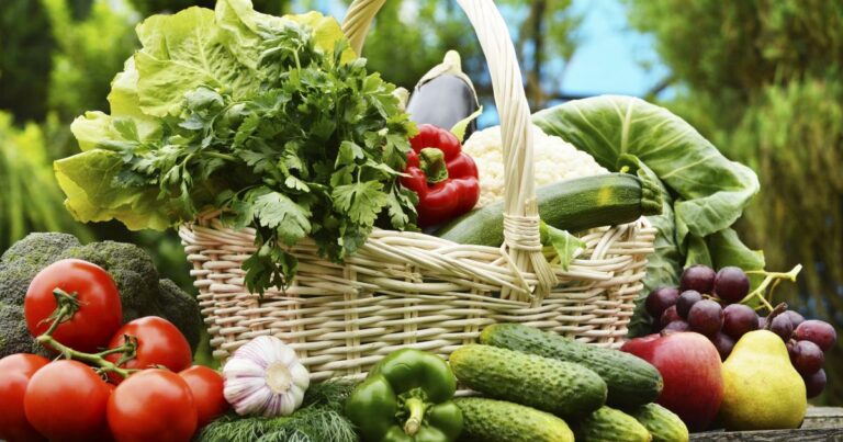 Quels sont les plats de saison ? Quels sont les plats de saison ?