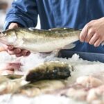 Quels sont les poissons d'élevage ?