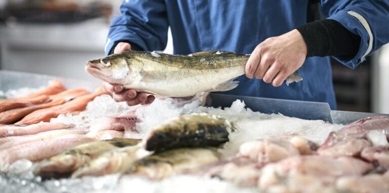 Quels sont les poissons d'élevage ?