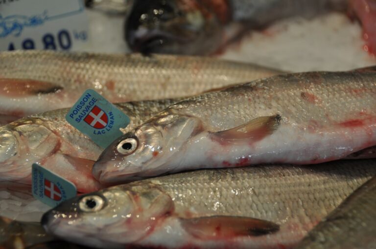 Quels sont les poissons d'élevages ?