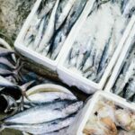 Quels sont les poissons préférés des Français ?