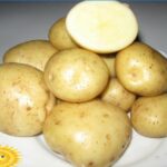 Quels sont les pommes de terre à chair jaune ?