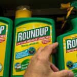 Quels sont les produits AOC ?