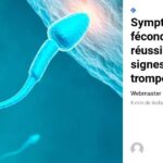 Quels sont les signes d'une fécondation réussie ?