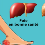 Quels sont les symptômes d'un foie fatigué ?