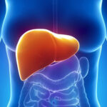 Quels sont les symptômes d'un foie gras ?