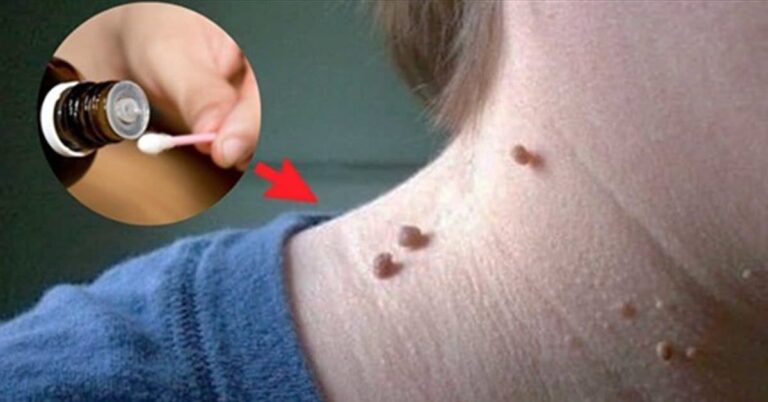 Quels sont les types de brioche ?