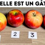Quels sont les types de gâteaux ?