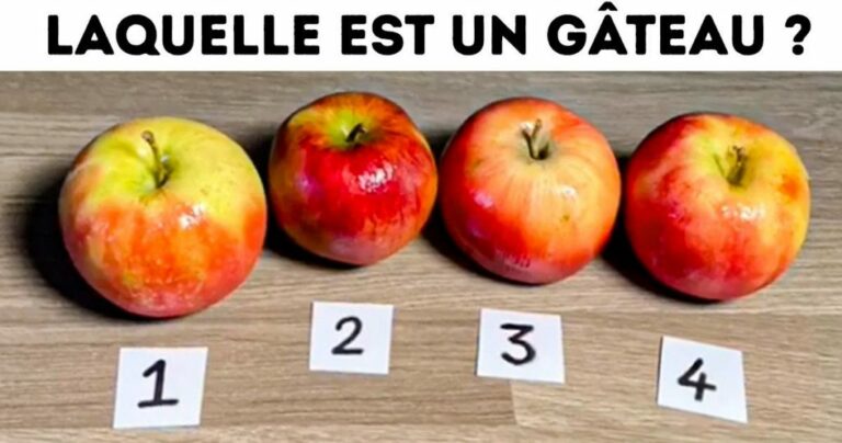 Quels sont les types de gâteaux ? Quels sont les types de gâteaux ?