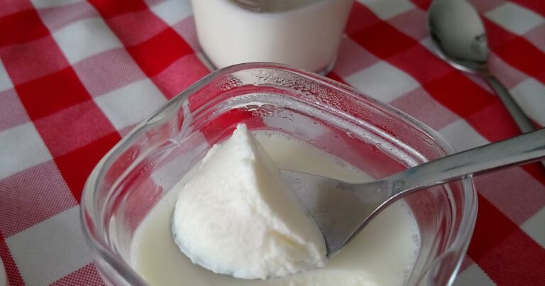 Quels sont les yaourts au lait pasteurisé ? Quels sont les yaourts au lait pasteurisé ?