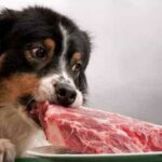 Qu'est-ce que je peux manger cette semaine ?