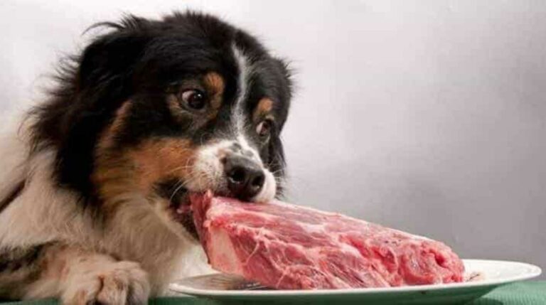 Qu’est-ce que je peux manger cette semaine ? Qu'est-ce que je peux manger cette semaine ?