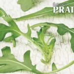 Qu'est-ce que la roquette en cuisine ?