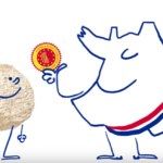 Qu'est-ce que le Salakis ?