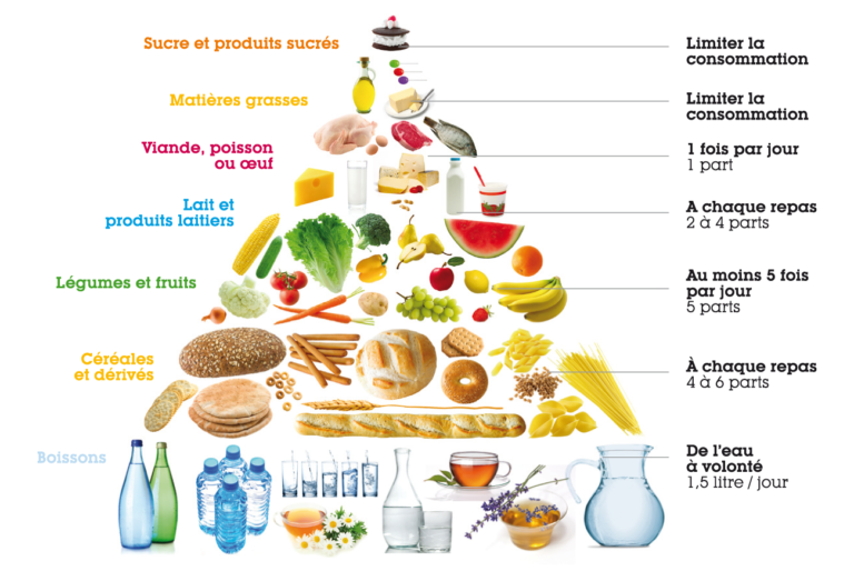 Qu’est-ce que l’équilibre alimentaire et quels en sont les principes ? Qu'est-ce que l'équilibre alimentaire et quels en sont les principes ?