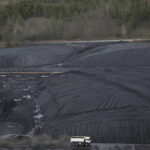 Qu'est ce qui remplace de la chapelure ?