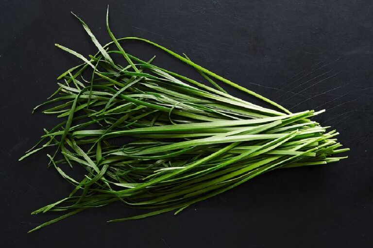 Qu’est ce qui remplace la ciboule ? Qu'est ce qui remplace la ciboule ?