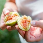 Qu'est-ce qui se mange dans la figue ?