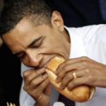 Qu'est-ce qui se mange dans la lotte ?