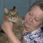 Qu'est-ce qu'il y a de pire qu'un bébé dans une poubelle ?