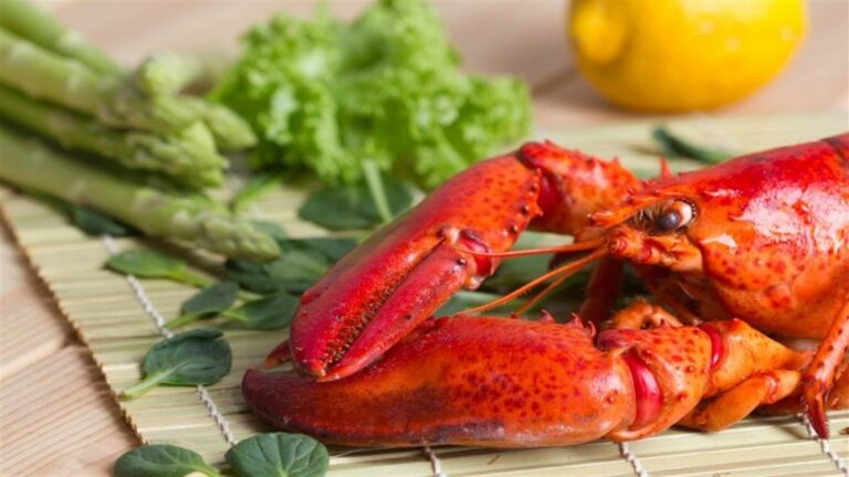 Qu’est-ce qu’on mange avec du homard ? Qu'est-ce qu'on mange avec du homard ?