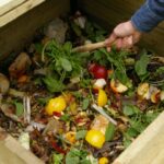 Qu'est-ce qu'on peut mettre dans un freezer ?