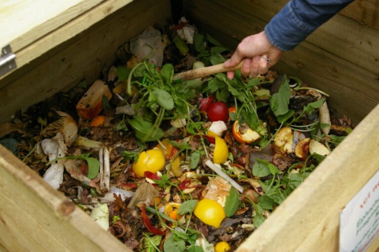 Qu’est-ce qu’on peut mettre dans un freezer ? Qu'est-ce qu'on peut mettre dans un freezer ?