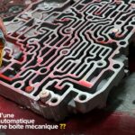 Qu'est-ce qu'on peut mettre dans une pizza ?