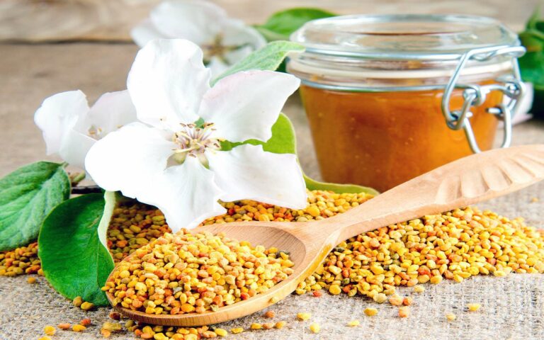 Qu'est-ce qu'un aliment cru ?