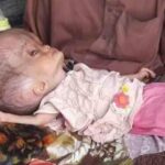 Qu'est-ce qu'un bébé de 7 mois peut manger ?