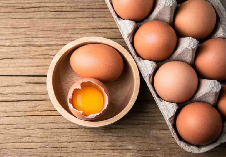 Qu'est-ce qu'un œuf Extra-frais ?