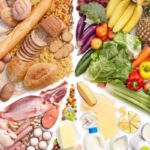 Qu'est-ce qu'une alimentation équilibrée SVT ?