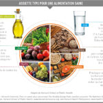 Qu'est-ce qu'une portion alimentaire ?