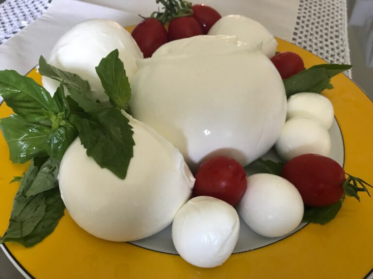 Qui a inventé la mozzarella di bufala ? Qui a inventé la mozzarella di bufala ?